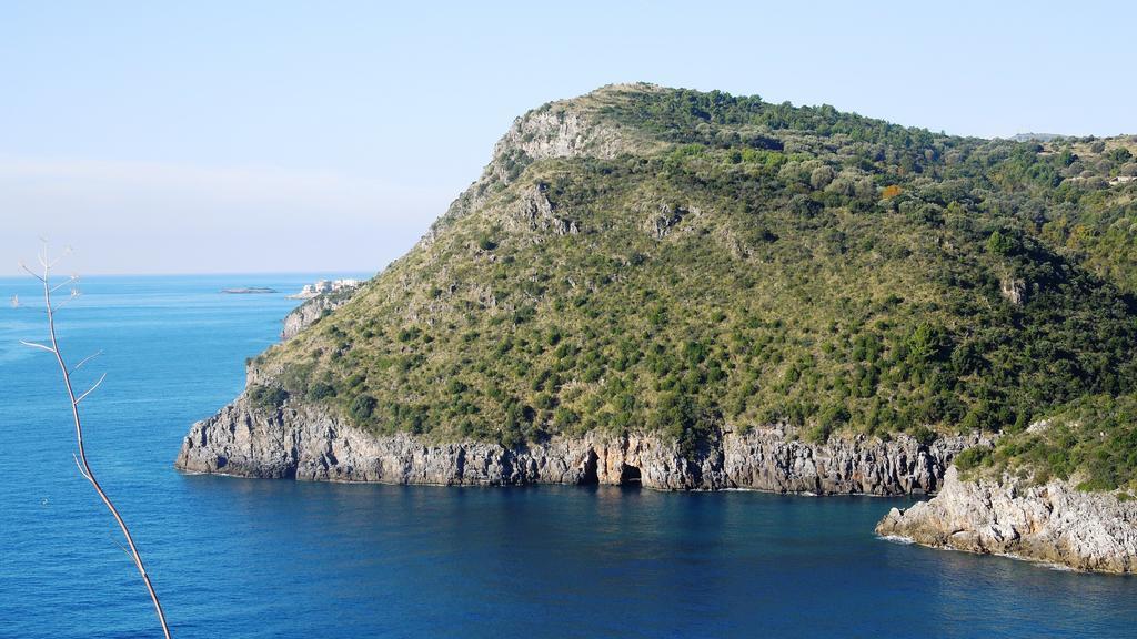 Delfino Hotel Marina di Camerota Exterior photo